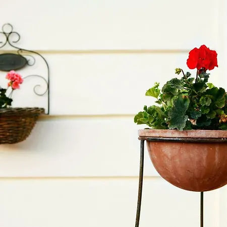 Panzió Casa Gallasso Santa Teresa Gallura