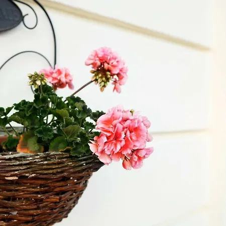 Casa Gallasso 3* Santa Teresa Gallura